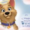 À jamais le meilleur des chiens