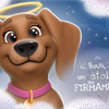 Un toutou au firmament