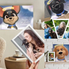 Montage d’images de propriétaires avec leurs chiens et les livres mémoire personnalisés « Pepper » et « Coco, une étoile au firmament ».